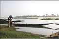 Pinasses sur le fleuve Bani, affluent du fleuve Niger (22)