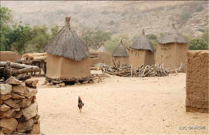 village d'Endé, pays Dogon (6)