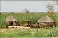 Case de Peuls-pêcheurs dans la région de Niamey (1)