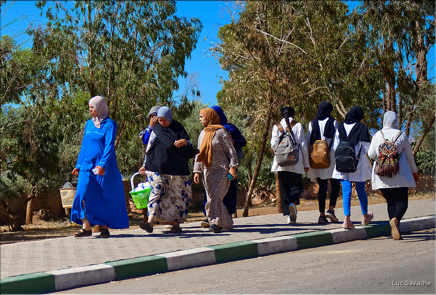 Sur la route avant d'arriver à Marrakech. (3)