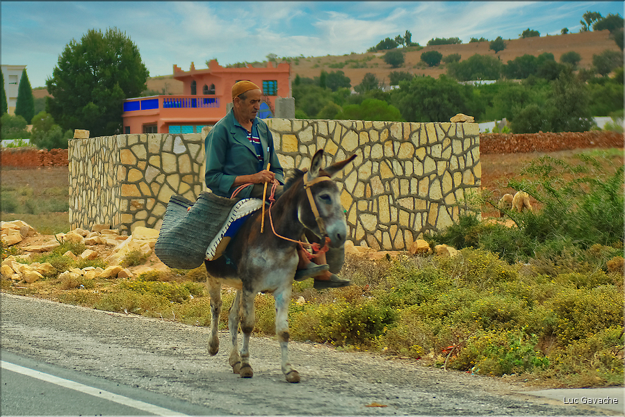 Sur la route avant d'arriver à Marrakech. (8)