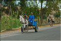 Sur la route avant d'arriver à Marrakech. (9)