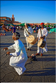 À côté de la Koutoubia se trouve un des hauts lieux de Marrakech, la place Jemaa-el-Fna. (13)