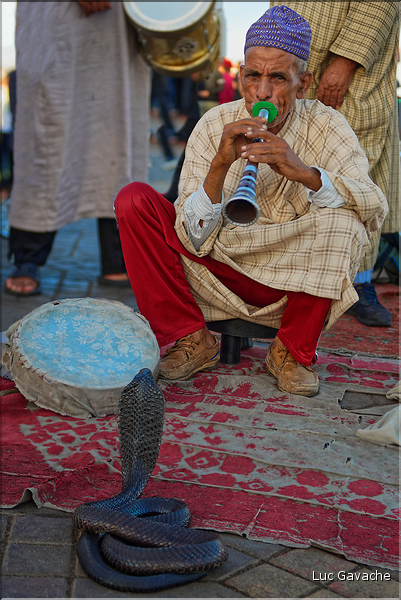 À côté de la Koutoubia se trouve un des hauts lieux de Marrakech, la place Jemaa-el-Fna. (15)