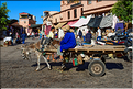 Aux portes des souks de Marrakech. (4)