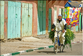 Sur la route entre Erfoud et Tinghir. (3)