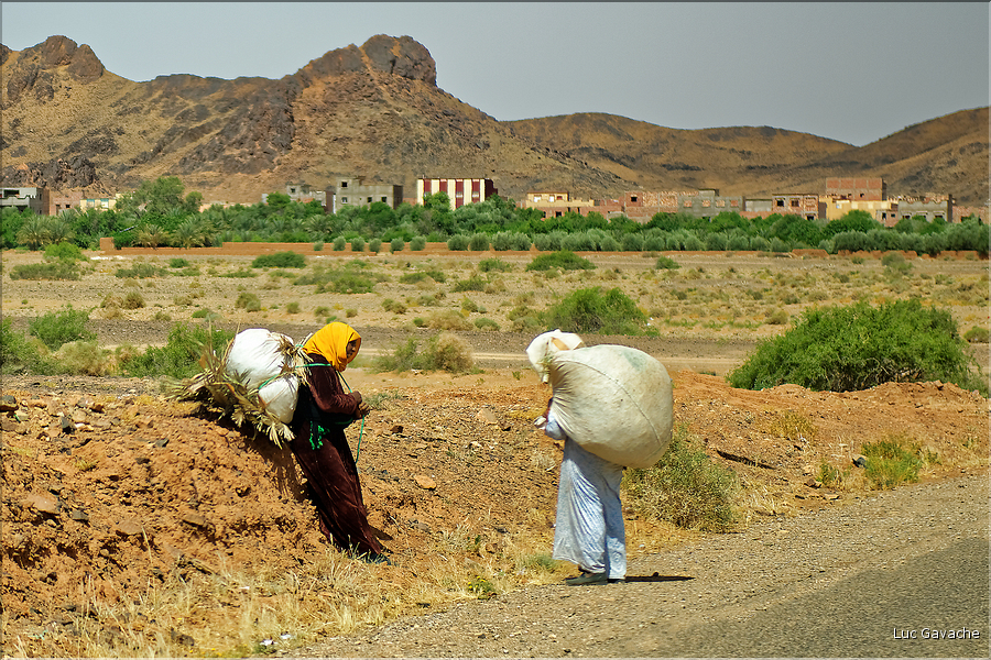 Sur la route entre Erfoud et Tinghir. (5)