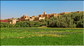 La palmeraie et les jardins deTinghir. (4)