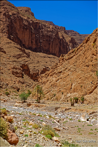 En hamond de la rivière qui alimente la palmeraie de Tinghir, on trouve les Gorges du Todra. (5)