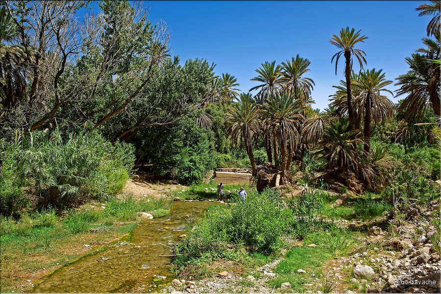 En hamond de la rivière qui alimente la palmeraie de Tinghir, on trouve les Gorges du Todra. (13)