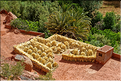 Dans la vallée du Dadès se succèdent les villages et les kasbahs de pisés, mais aussi les jardins avec les activités qui y sont liées. (12)