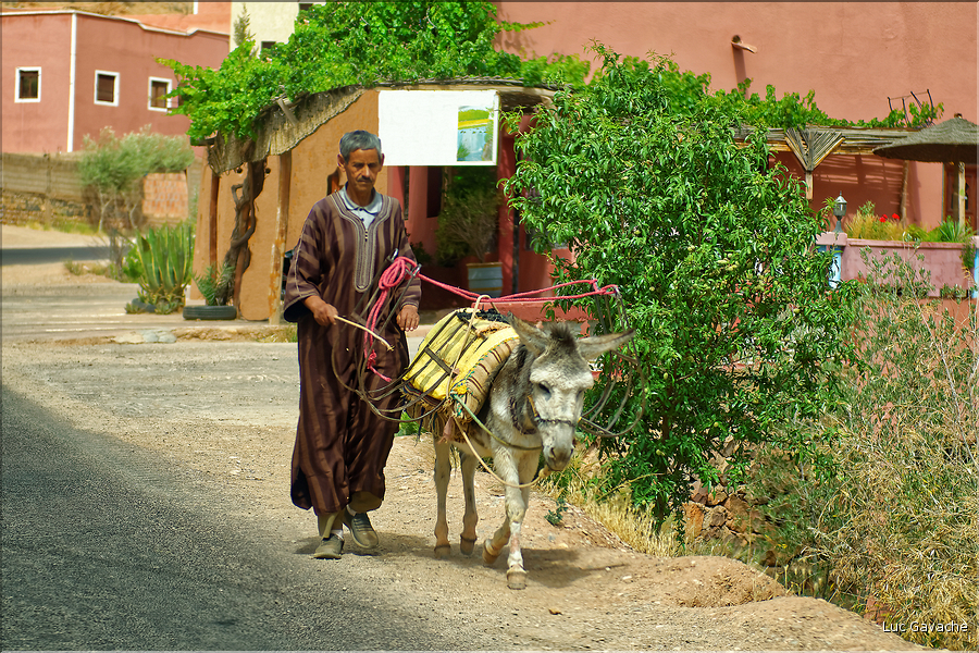 Dans la vallée du Dadès se succèdent les villages et les kasbahs de pisés, mais aussi les jardins avec les activités qui y sont liées. (25)