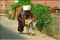 Dans la vallée du Dadès se succèdent les villages et les kasbahs de pisés, mais aussi les jardins avec les activités qui y sont liées. (25)