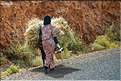 Dans la vallée du Dadès se succèdent les villages et les kasbahs de pisés, mais aussi les jardins avec les activités qui y sont liées. (26)