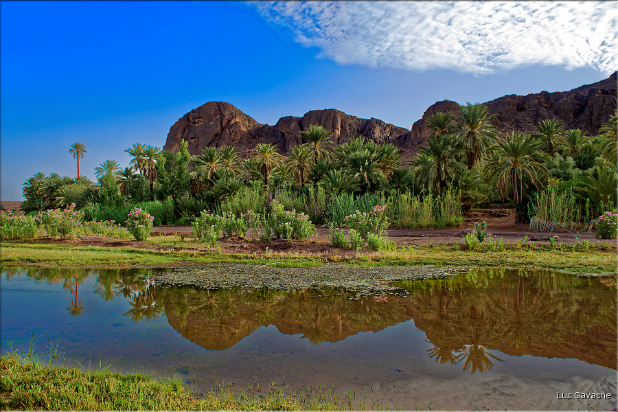 À quelques kilomètres de Ouarzazate se trouve l'oasis Fint, qui veut dire caché en berbère. (3)