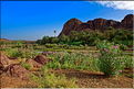 À quelques kilomètres de Ouarzazate se trouve l'oasis Fint, qui veut dire caché en berbère. (5)