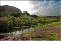 À quelques kilomètres de Ouarzazate se trouve l'oasis Fint, qui veut dire caché en berbère. (12)