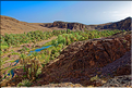 À quelques kilomètres de Ouarzazate se trouve l'oasis Fint, qui veut dire caché en berbère. (16)