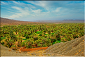 La vallée du Drâa est parsemée de Ksar comme celui de Tamnougalt. (6)