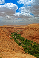 Au nord de Ouarzazate, sur les contres forts du Haut Atlas, la vallée de Telouèt abrite de charmants villages typiques. (12)