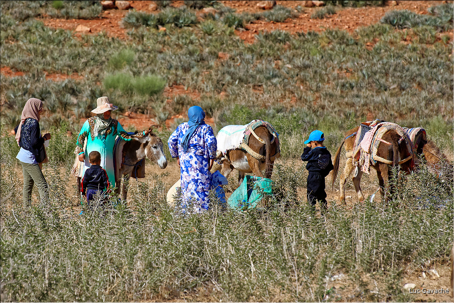 Le marché d'Ouzoud se déroule tous les mardis matin à l'extérieur du village. (3)