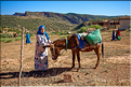 Le marché d'Ouzoud se déroule tous les mardis matin à l'extérieur du village. (10)