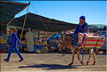 Le marché d'Ouzoud se déroule tous les mardis matin à l'extérieur du village. (16)