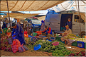 Le marché d'Ouzoud se déroule tous les mardis matin à l'extérieur du village. (22)