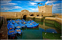 Le port de pêche d'Essaouira. (3)