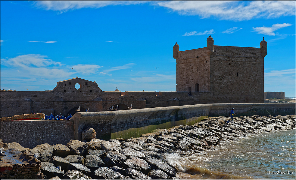 Le port de pêche d'Essaouira. (4)