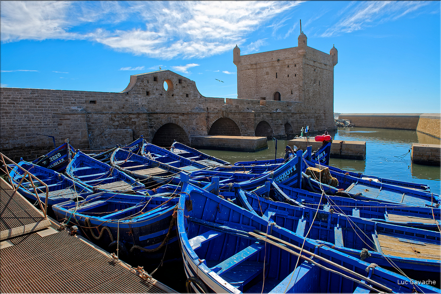 Le port de pêche d'Essaouira. (6)