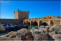 Le port de pêche d'Essaouira. (11)
