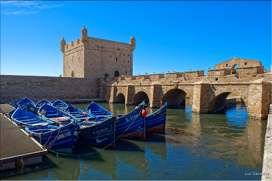 Le port de pêche d'Essaouira. (12)