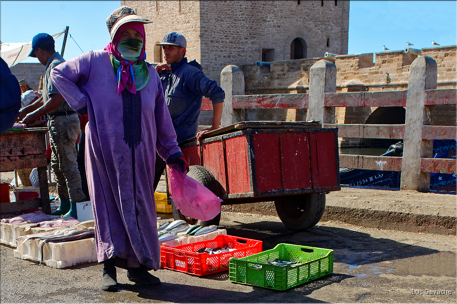 Le port de pêche d'Essaouira. (14)