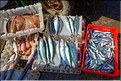 Le port de pêche d'Essaouira. (17)