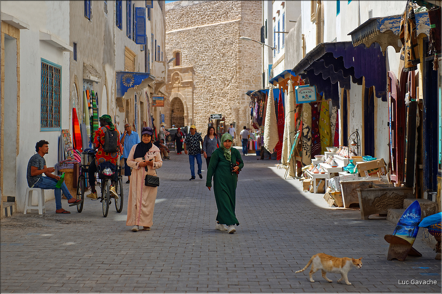 Dans les ruelles de la médina d'Essaouira. (11)