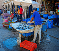 Dans les ruelles de la médina d'Essaouira. (49)