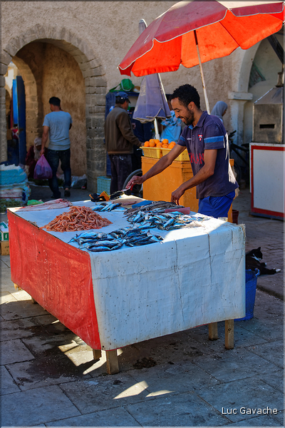Dans les ruelles de la médina d'Essaouira. (51)