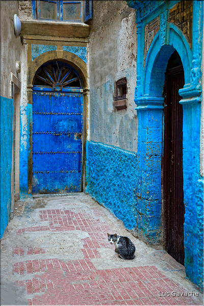 Dans les ruelles de la médina d'Essaouira. (113)