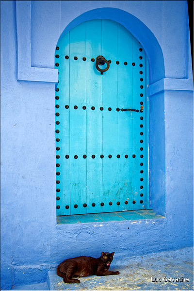 Dans les rues de la médina de Chefchaouen. (19)