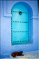 Dans les rues de la médina de Chefchaouen. (19)