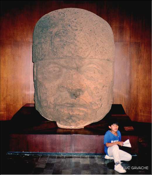 Tête monumentalle Olmèque (une des plus ancienne civilisation Mésoaméricaine).Musée de Mexico.