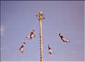 Ces hommes, appelés Voladores, execute une cérémonie rituelle, d'origine Mésoaméricaine.