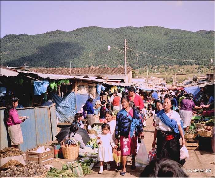 Le marché de San Christobal De Las Casas est fréquenté par les Indiens Tzotziles d'origine Maya.