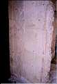 Les édifices de Palenque sont recouvert de bas reliefs.