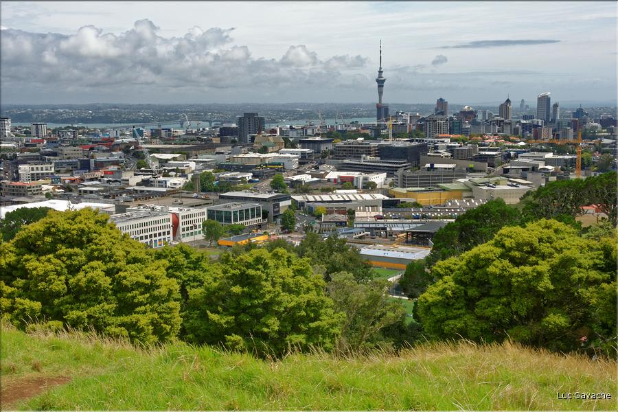 Auckland vue du Mont Eden, ancien volcan de la région. (5)