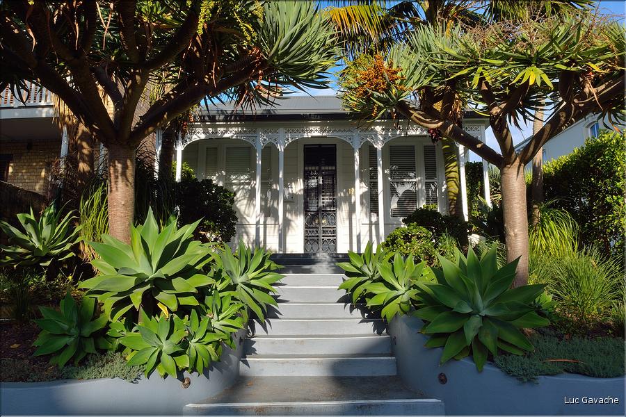 Le quartier de Ponsoby d'Auckland. (11)