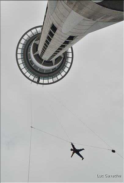 La sky tower. (4)