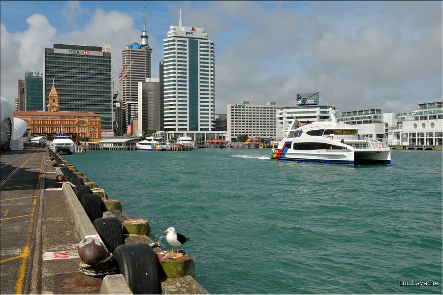 Freemans bay à Auckland. (2)
