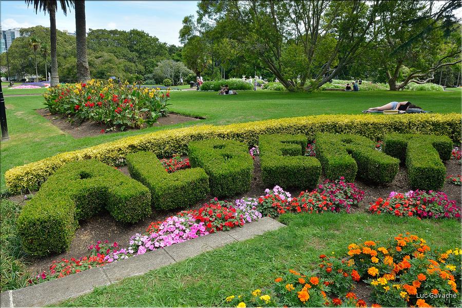 L'Albert park d'Auckland. (1)